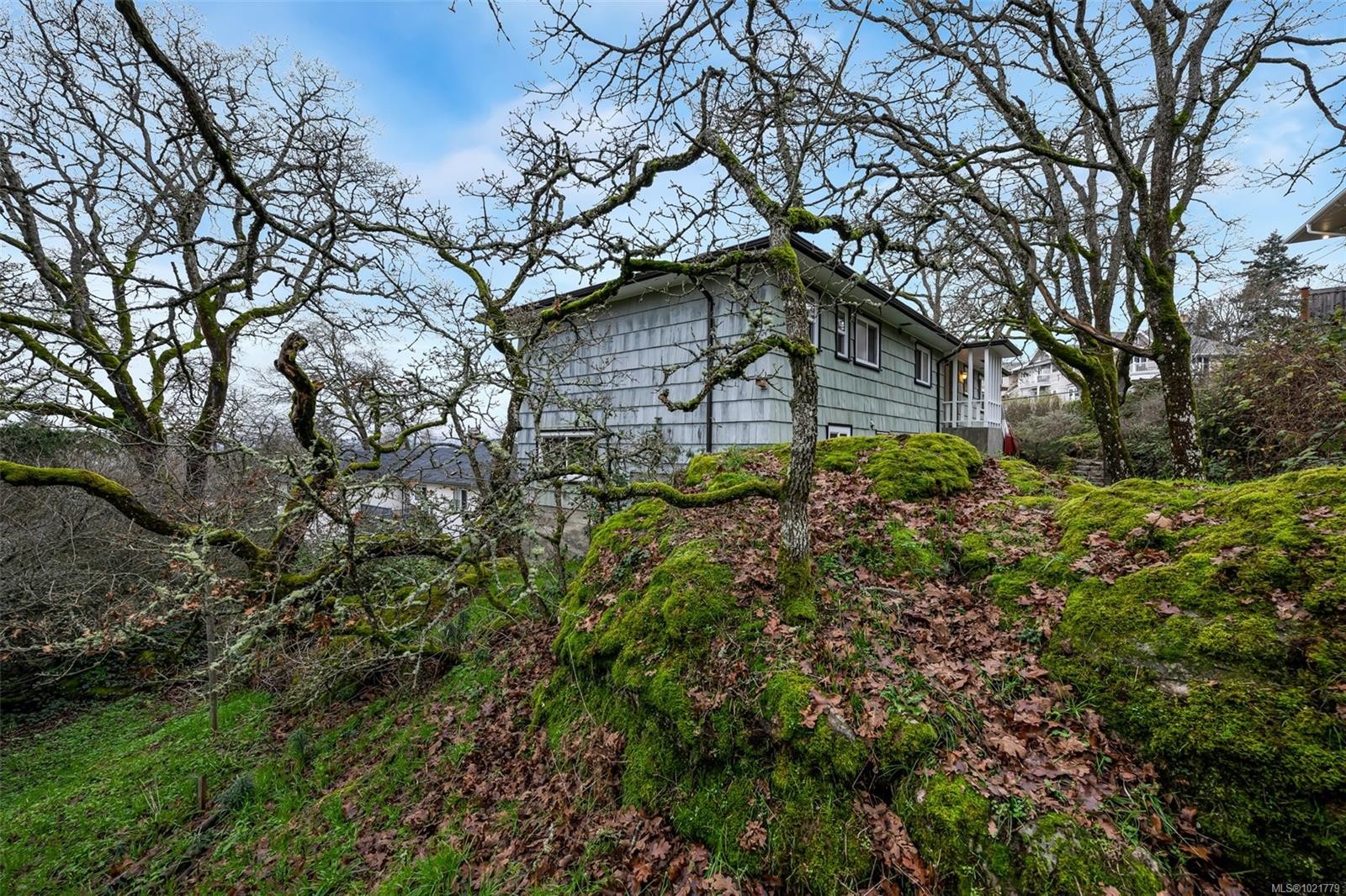 1181 Clovelly Terr, Saanich, BC