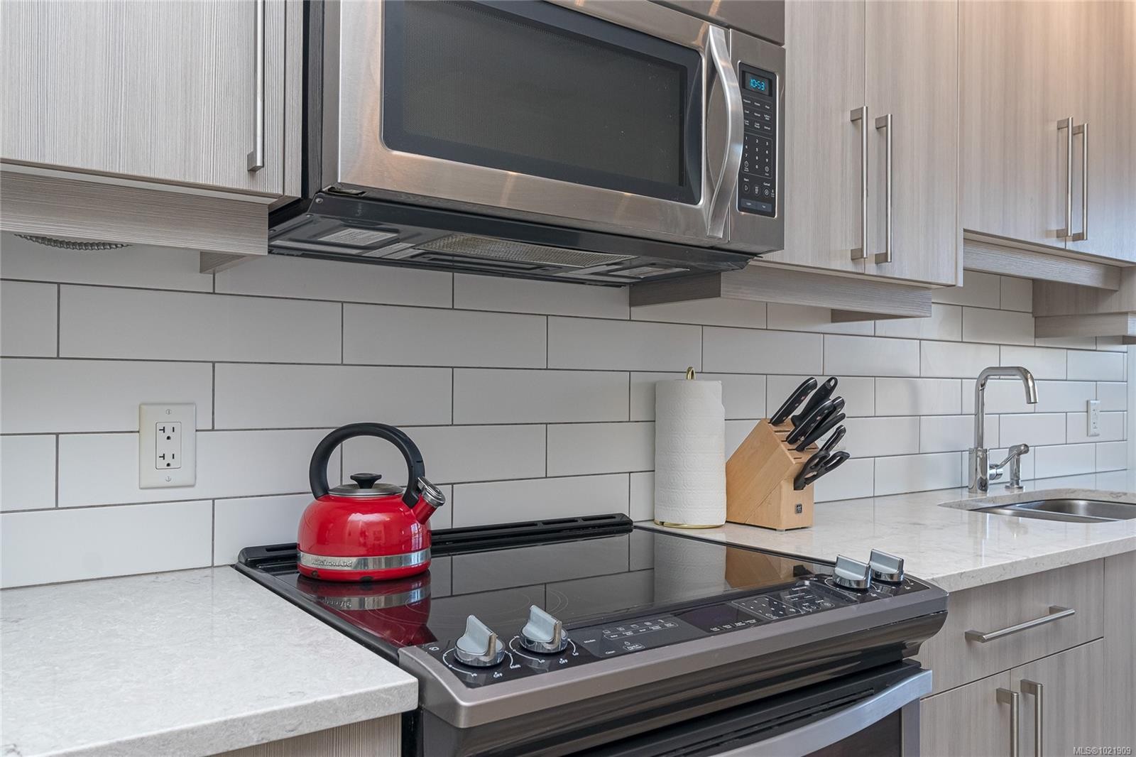 316-595 Pandora Ave, Victoria, BC - Indoor Photo Showing Kitchen With Double Sink