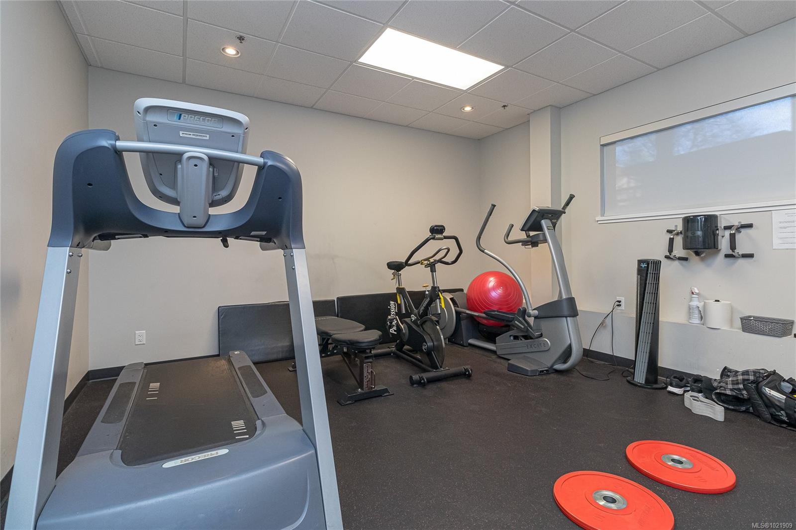 316-595 Pandora Ave, Victoria, BC - Indoor Photo Showing Gym Room