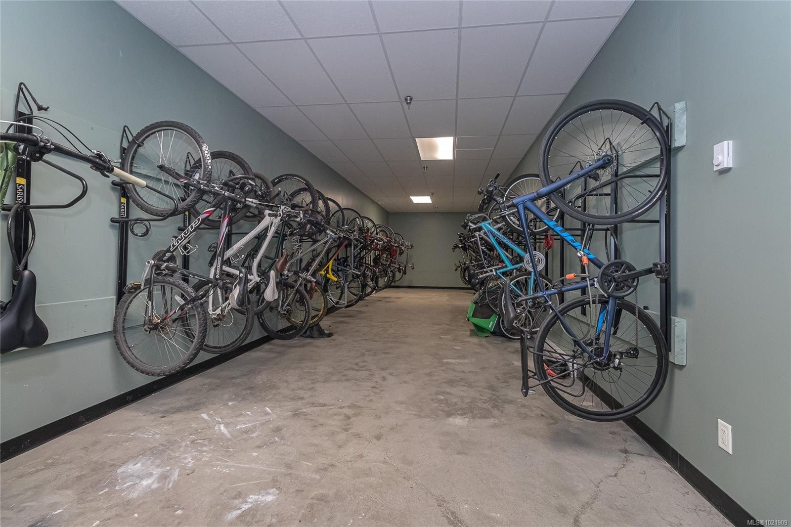 316-595 Pandora Ave, Victoria, BC - Indoor