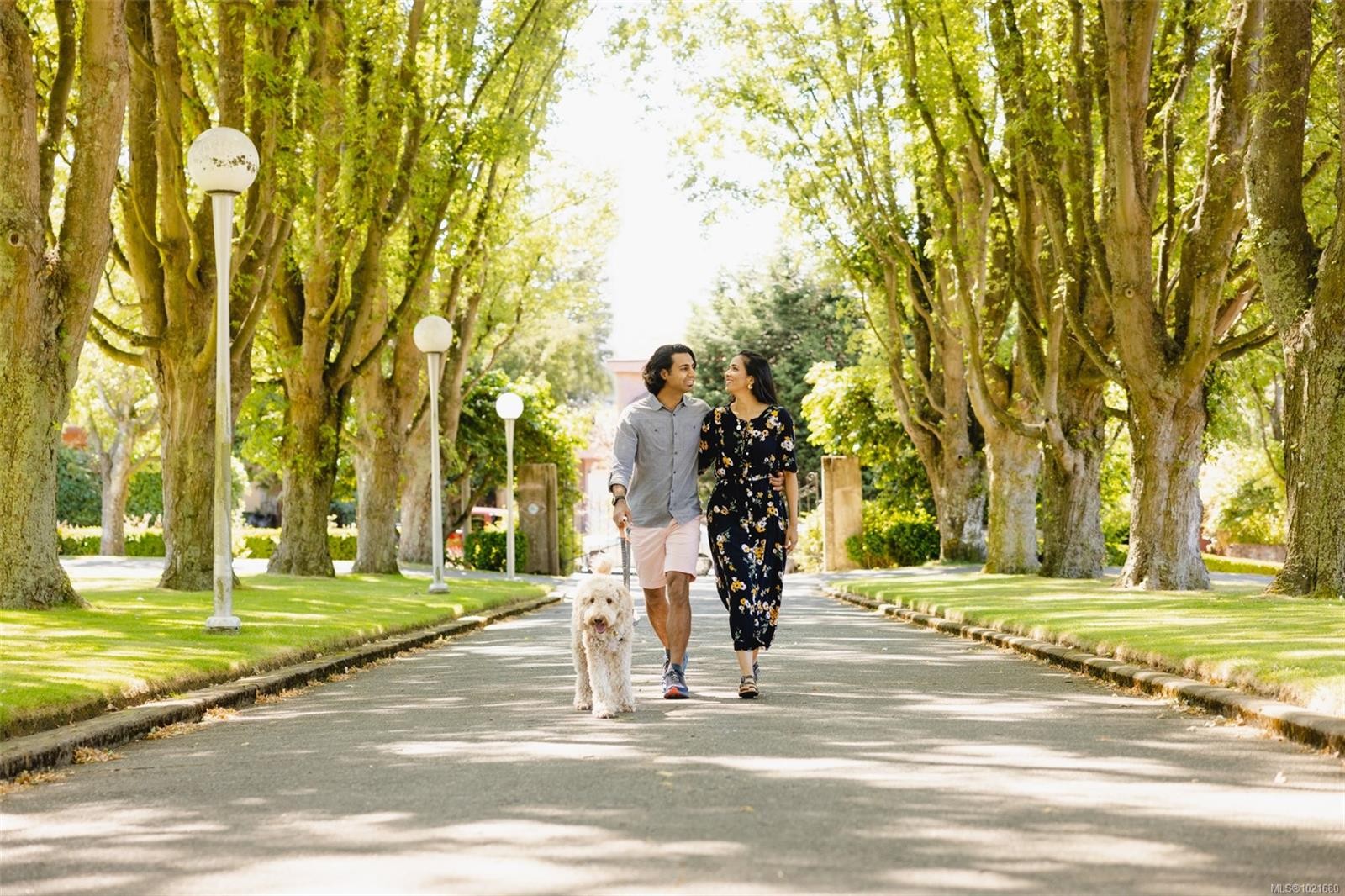 212-3226 Shelbourne St, Saanich, BC - Outdoor With View