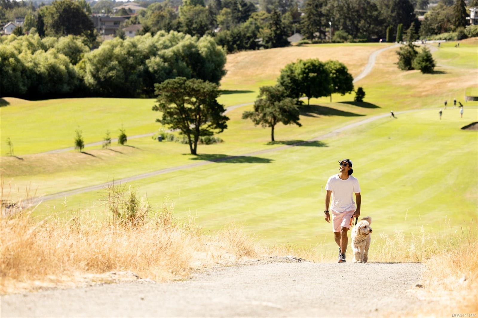 212-3226 Shelbourne St, Saanich, BC - Outdoor With View