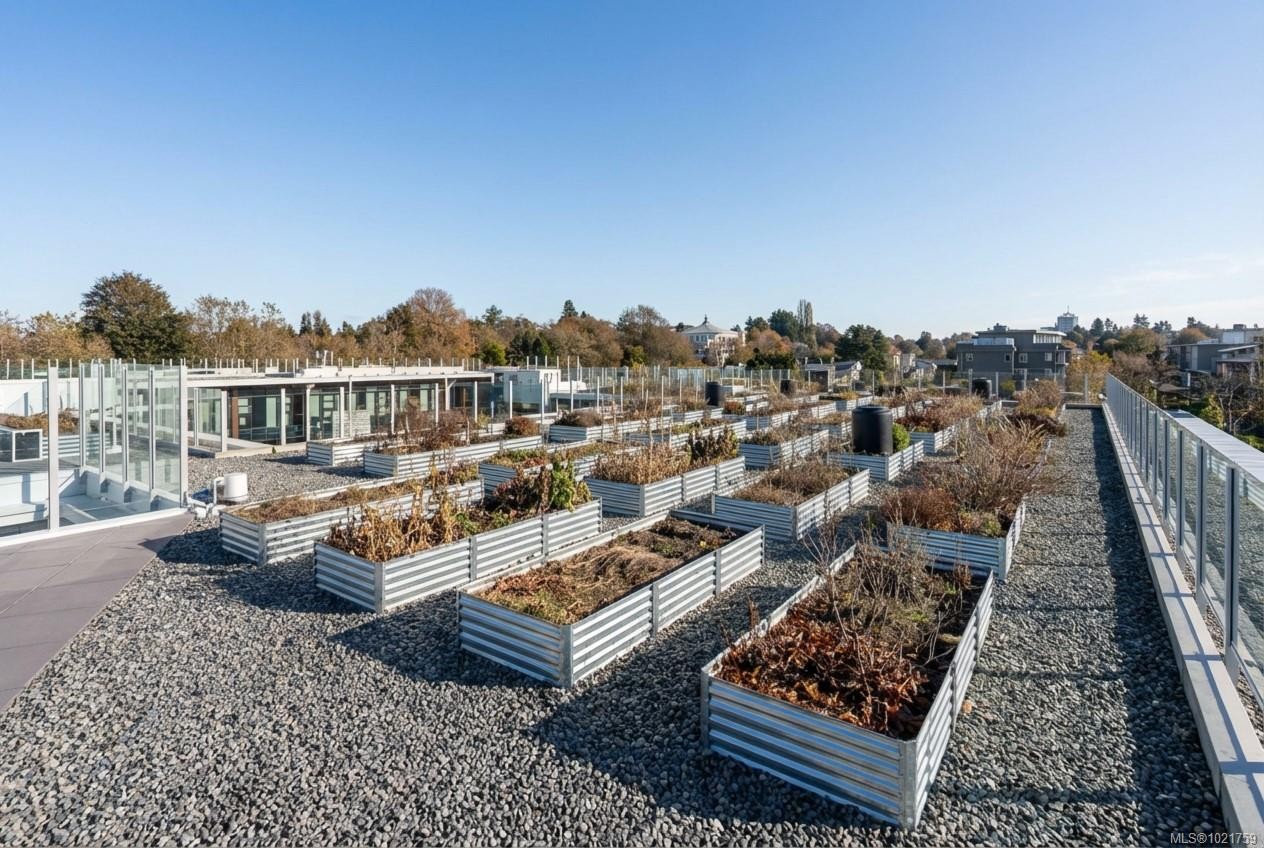 N405-1105 Pandora Ave, Victoria, BC - Outdoor