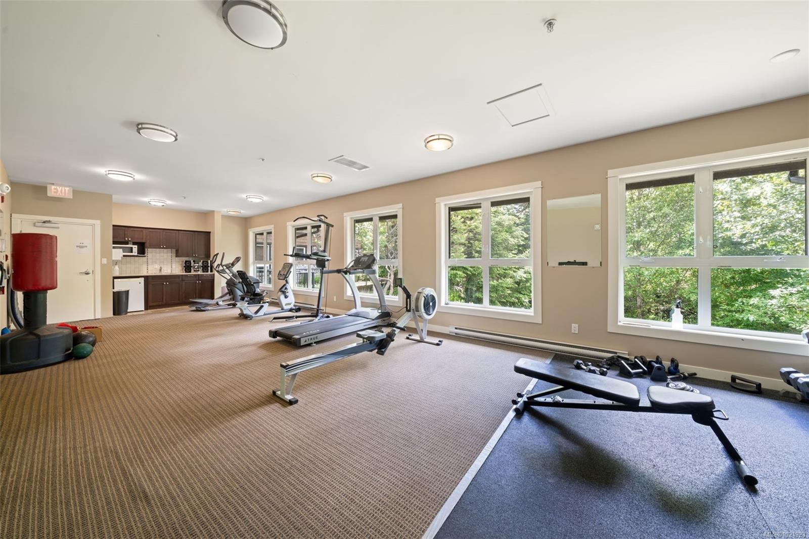 210-201 Nursery Hill Dr, View Royal, BC - Indoor Photo Showing Gym Room