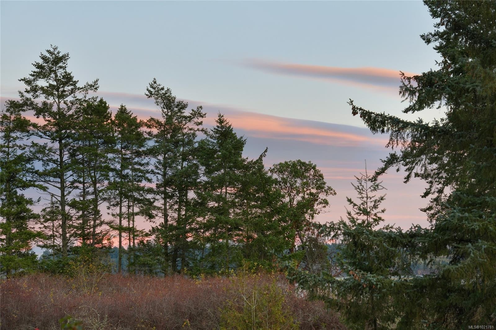 1131-2600 Ferguson Rd, Central Saanich, BC - Outdoor With View
