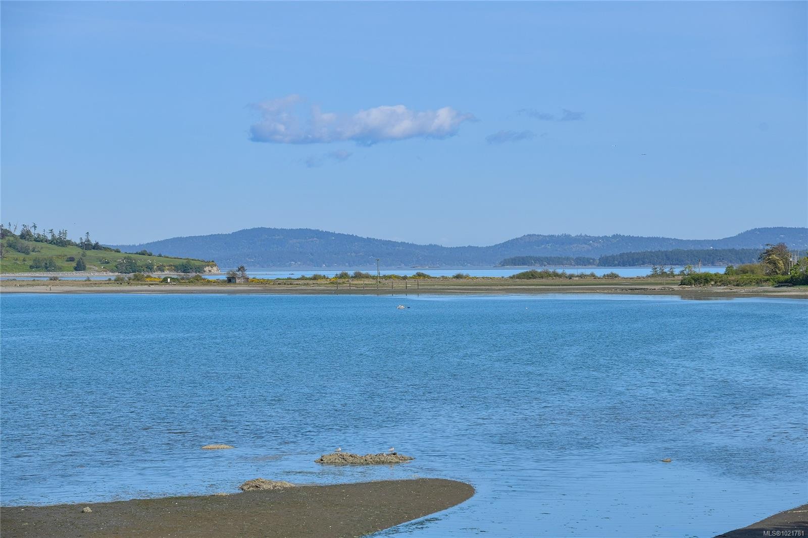 1131-2600 Ferguson Rd, Central Saanich, BC - Outdoor With Body Of Water With View