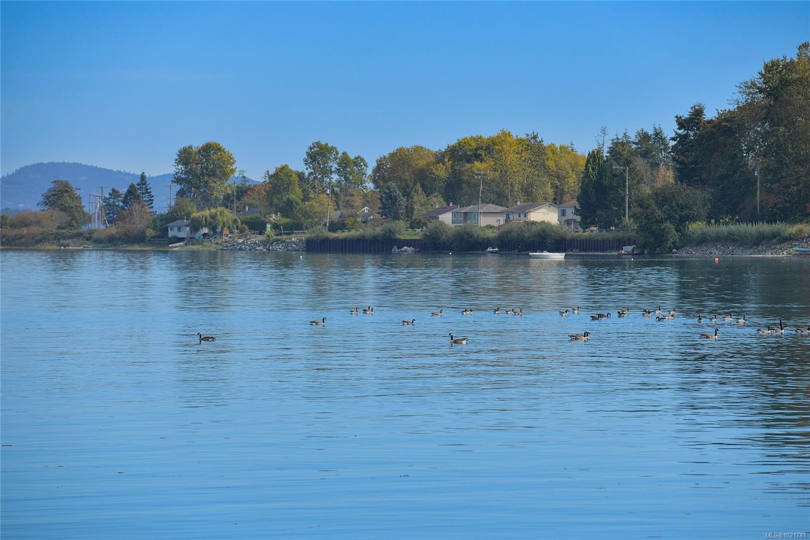 1131-2600 Ferguson Rd, Central Saanich, BC - Outdoor With Body Of Water With View