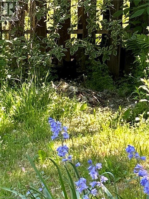 3852 Roxborough Avenue, Crystal Beach, ON - Outdoor