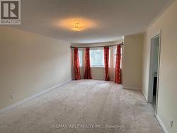 Wall of windows for Daily Dose of Sunshine -