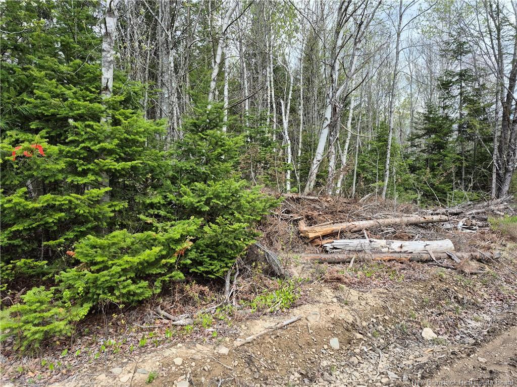 0 Banks Rd, Durham Bridge, NB