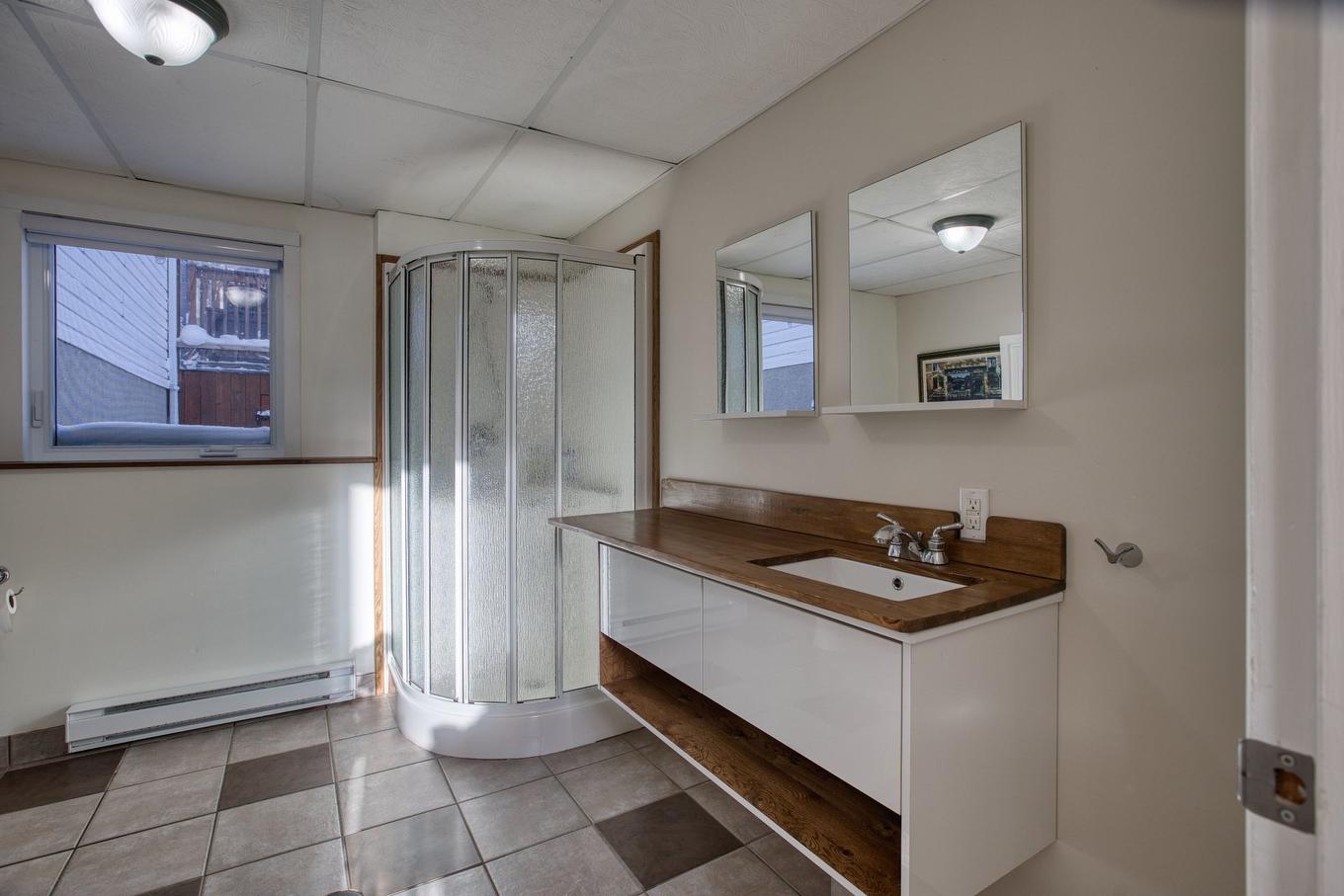 Salle de bains - 511 Rue Des Sous-Bois, Sainte-Agathe-Des-Monts, QC - Indoor Photo Showing Bathroom