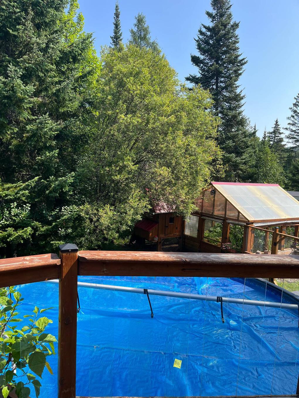 Extérieur - 511 Rue Des Sous-Bois, Sainte-Agathe-Des-Monts, QC - Outdoor With In Ground Pool With Backyard