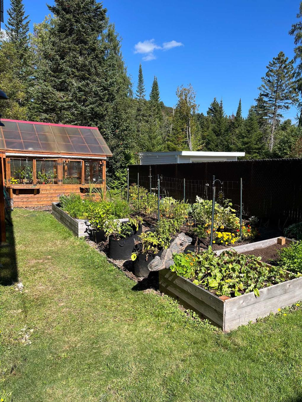 Cour - 511 Rue Des Sous-Bois, Sainte-Agathe-Des-Monts, QC - Outdoor