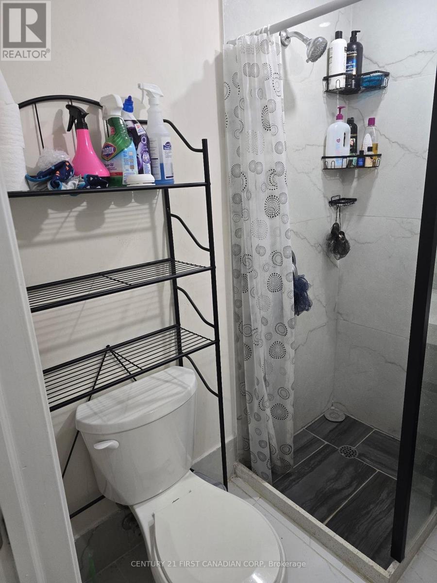 Lower - 289 Middleton Avenue, London South (South W), ON - Indoor Photo Showing Bathroom