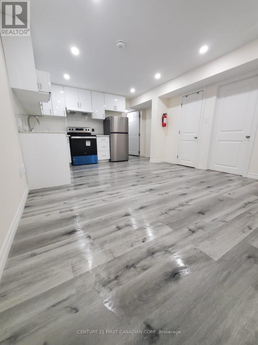 Lower - 289 Middleton Avenue, London South (South W), ON - Indoor