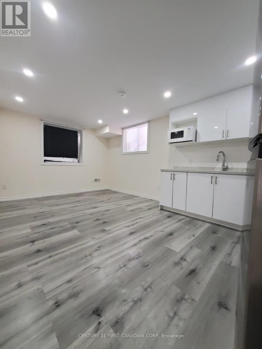 Lower - 289 Middleton Avenue, London South (South W), ON - Indoor Photo Showing Basement