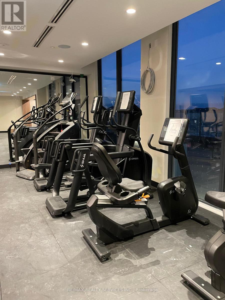 313 - 15 Skyridge Drive, Brampton, ON - Indoor Photo Showing Gym Room