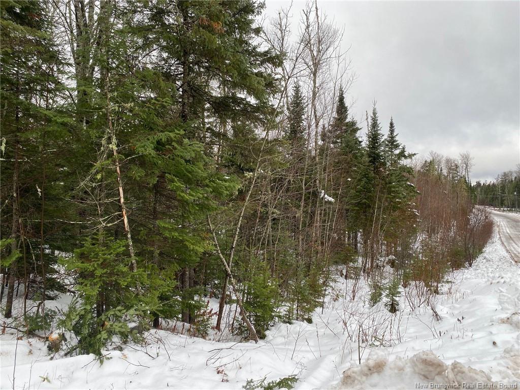 Lot 21-4 Waterway Rd, Mcquade, NB