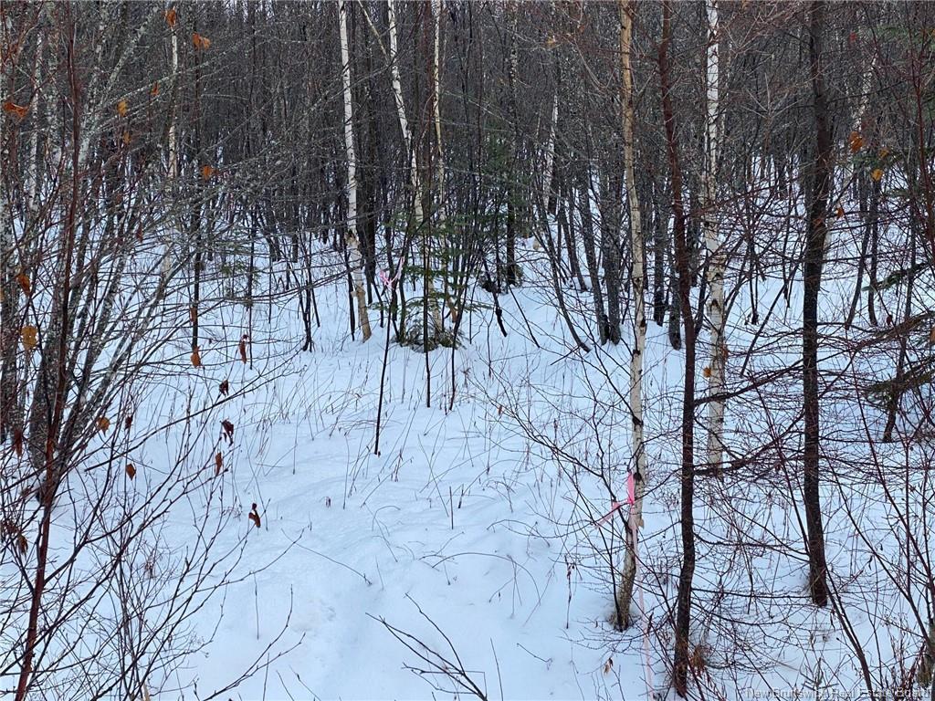 Lot 21-4 Waterway Rd, Mcquade, NB