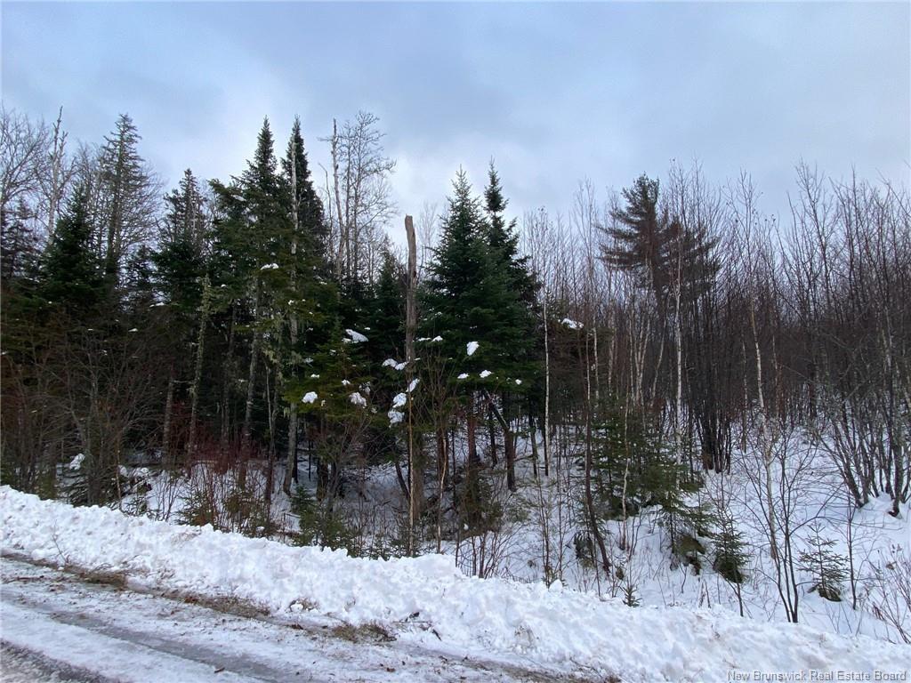 Lot 21-4 Waterway Rd, Mcquade, NB
