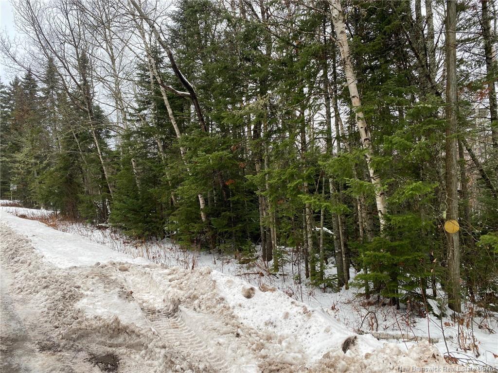 Lot 21-4 Waterway Rd, Mcquade, NB