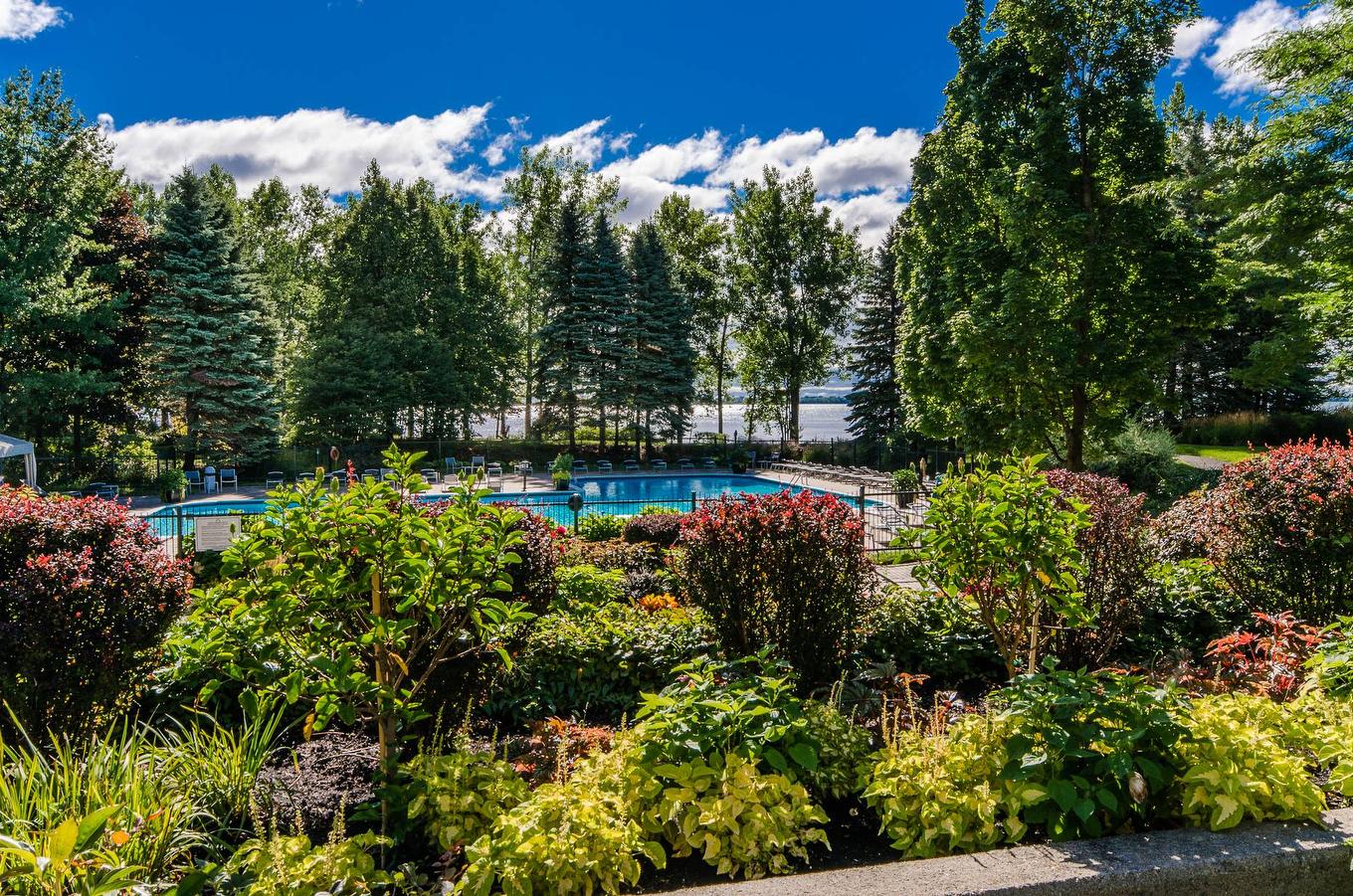 Garden - 1202-100 Rue Berlioz, Montréal (Verdun/Île-Des-Soeurs), QC - Outdoor