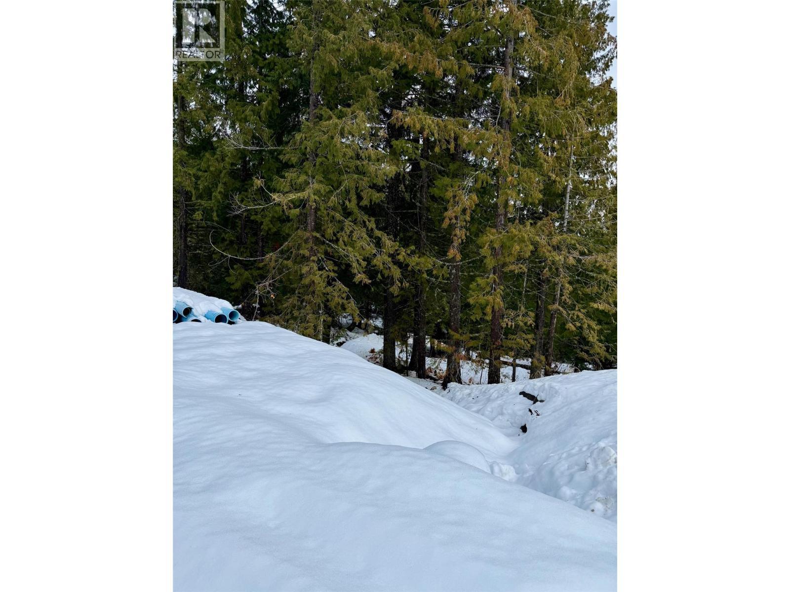 110 Topping Terrace, Rossland, BC