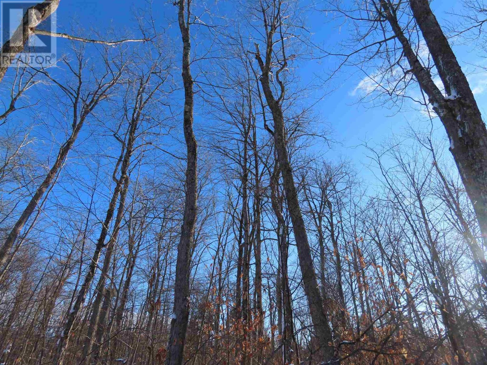 Lot 17 Concession R, Hilton Township, ON