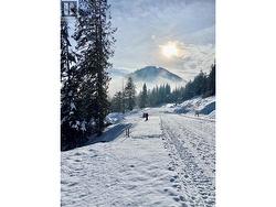 106 Topping Terrace Rossland, BC V0G 1Y0