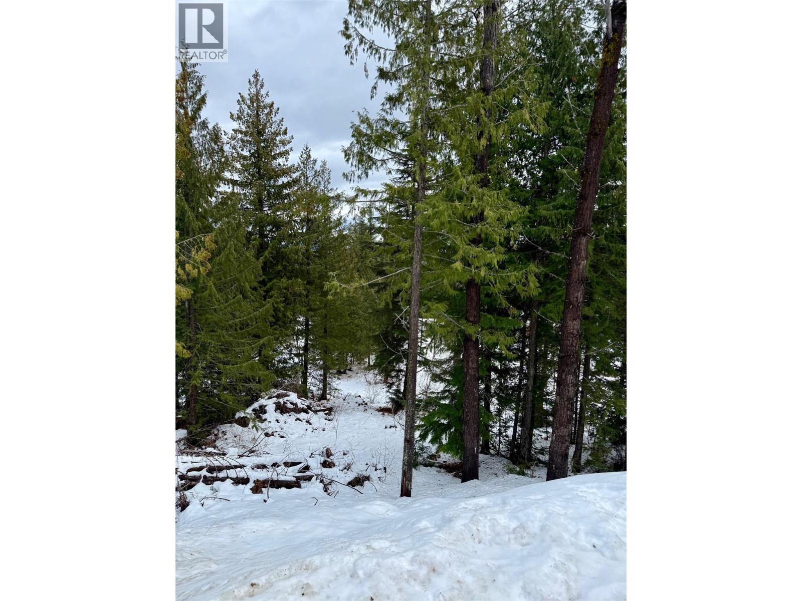 106 Topping Terrace, Rossland, BC