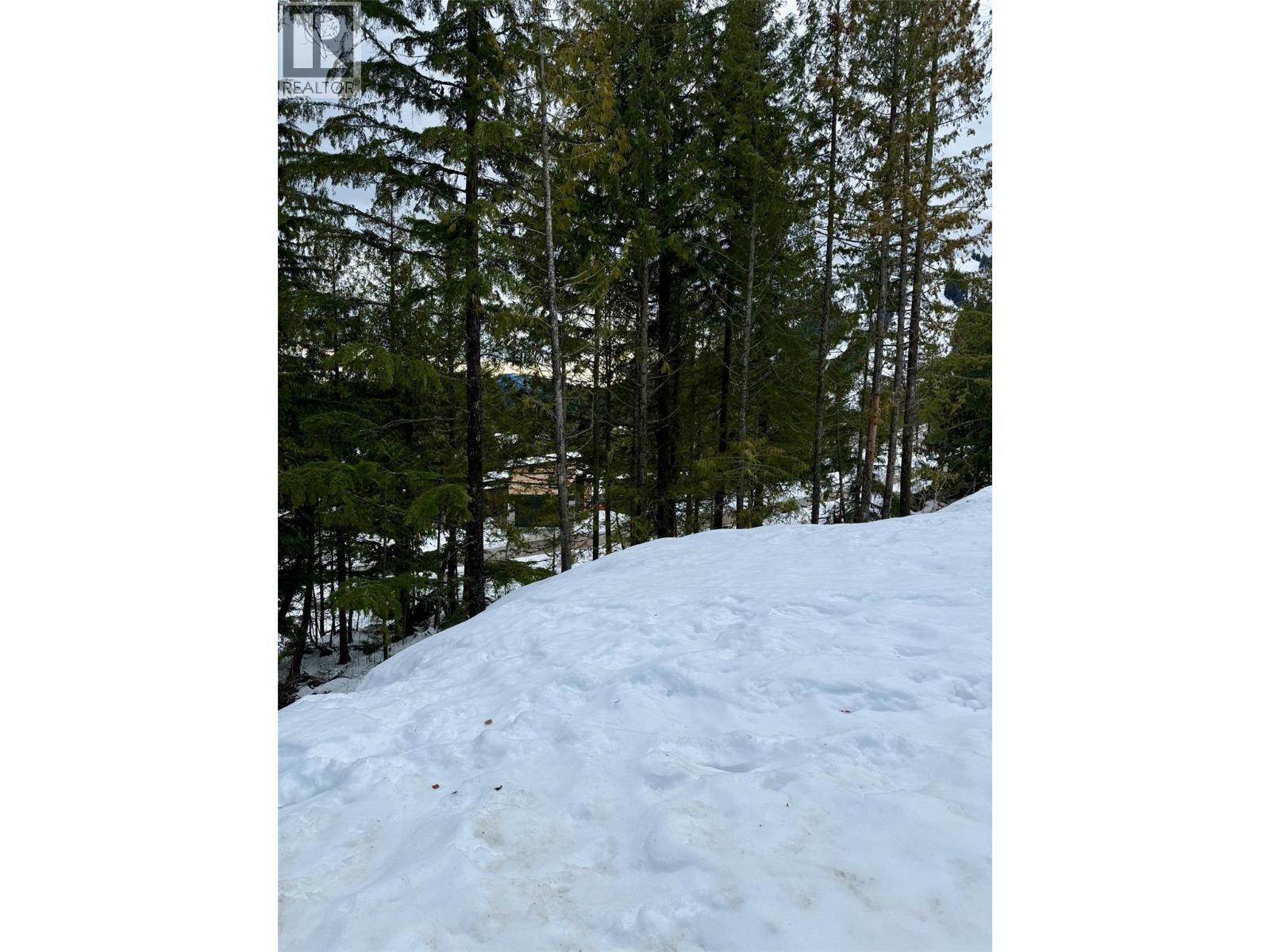 106 Topping Terrace, Rossland, BC