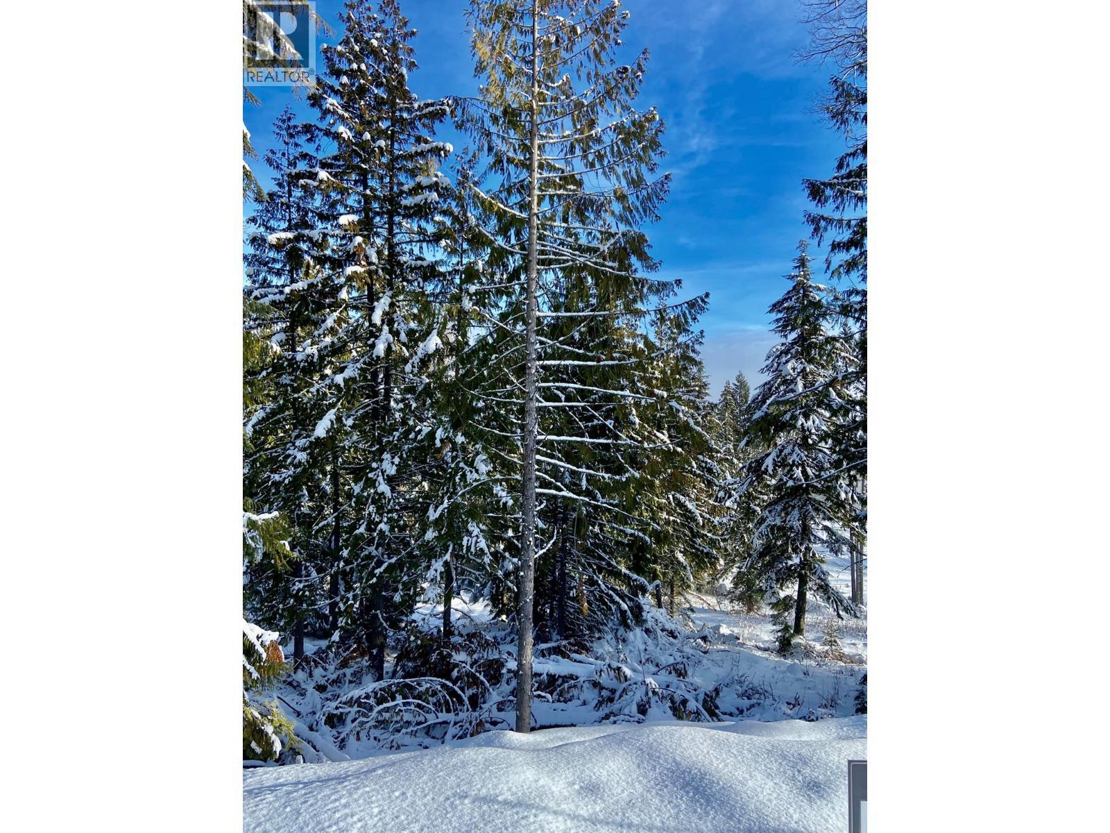 106 Topping Terrace, Rossland, BC