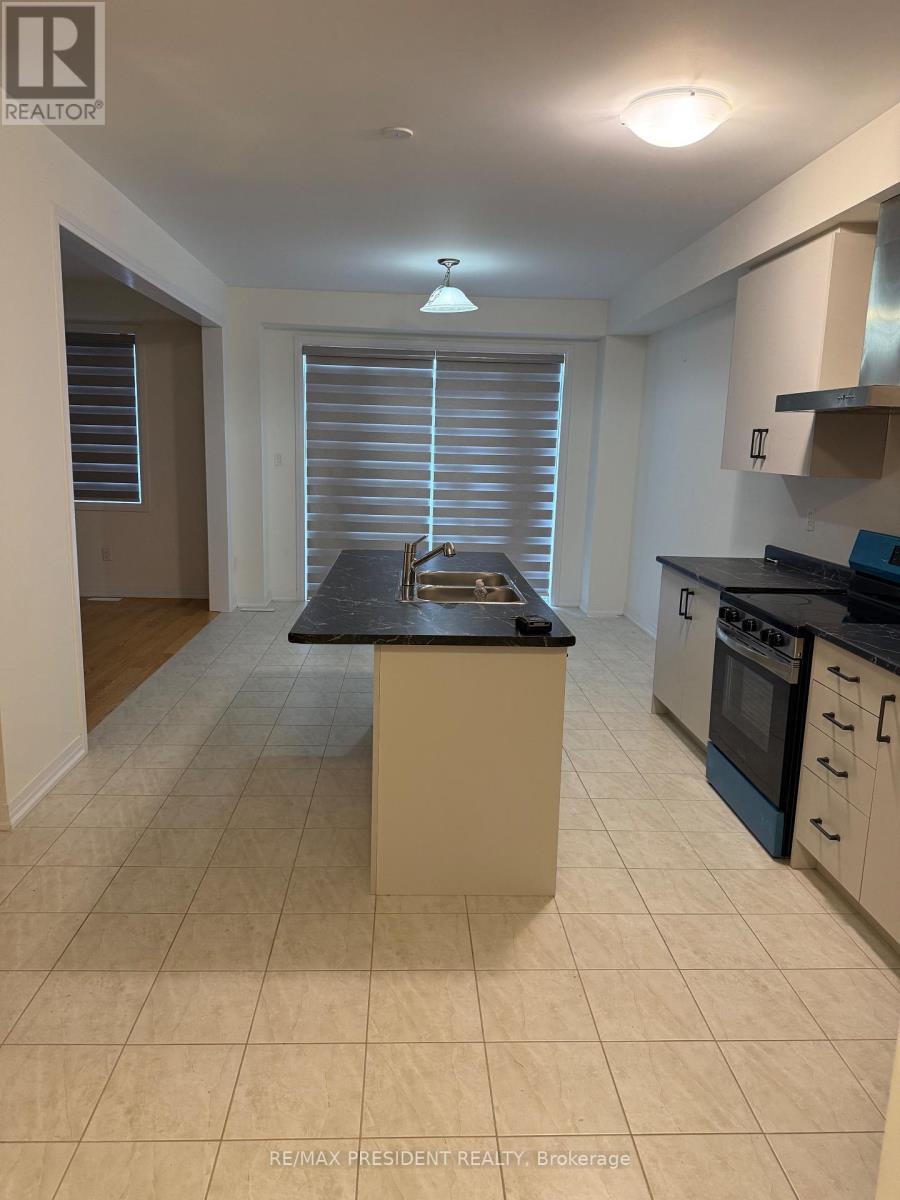 21 Velvet Way, Thorold, ON - Indoor Photo Showing Kitchen With Double Sink