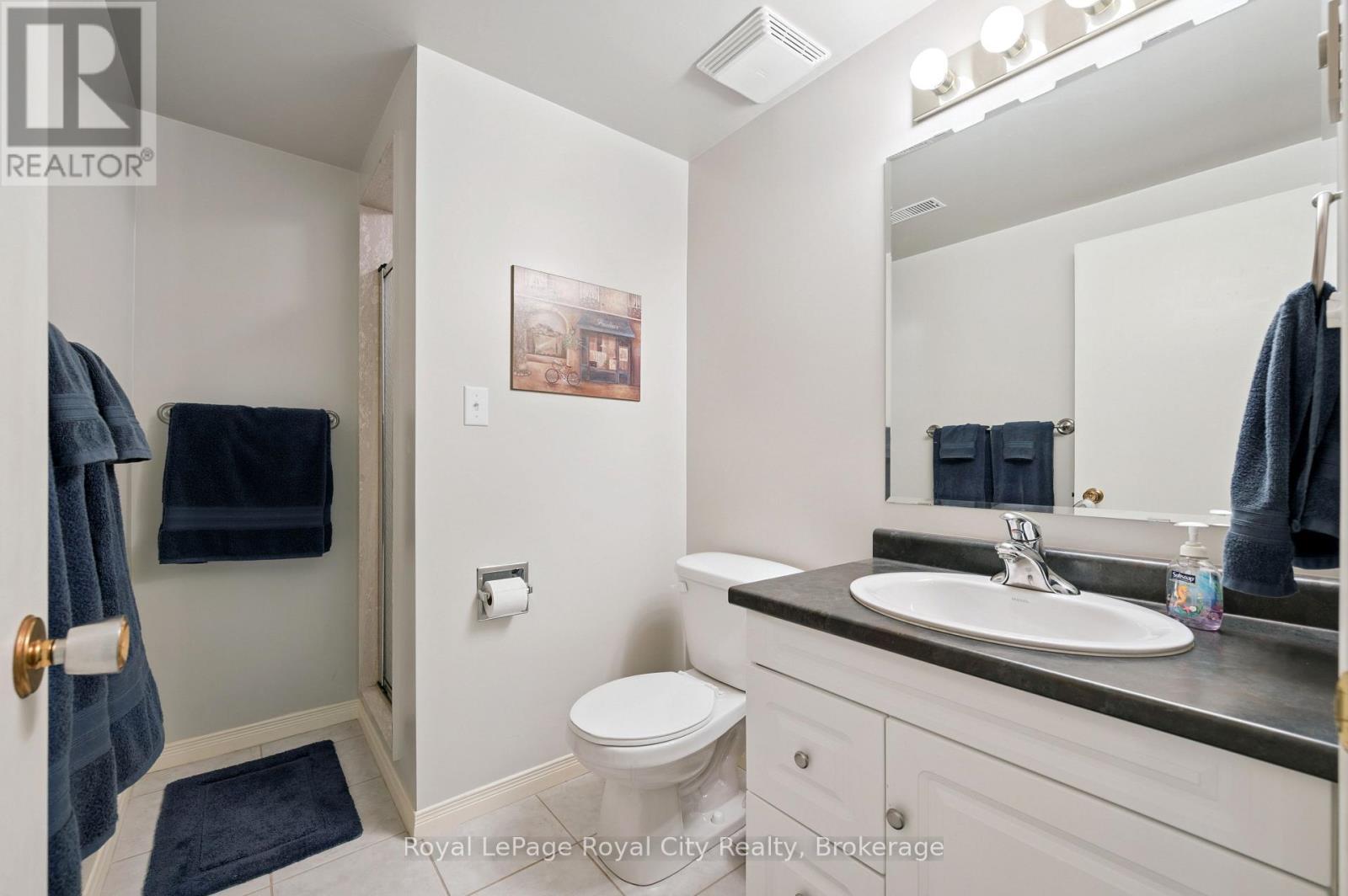 17 Terraview Crescent, Guelph (Kortright West), ON - Indoor Photo Showing Bathroom