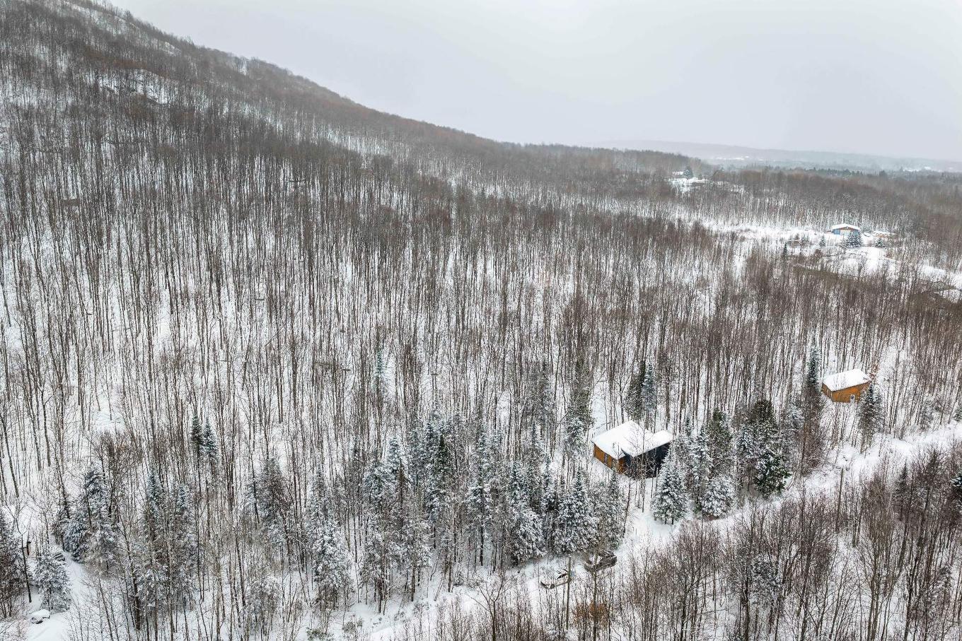 Photo aérienne - 10 Ch. Lily-Butters, Eastman, QC - Outdoor With View