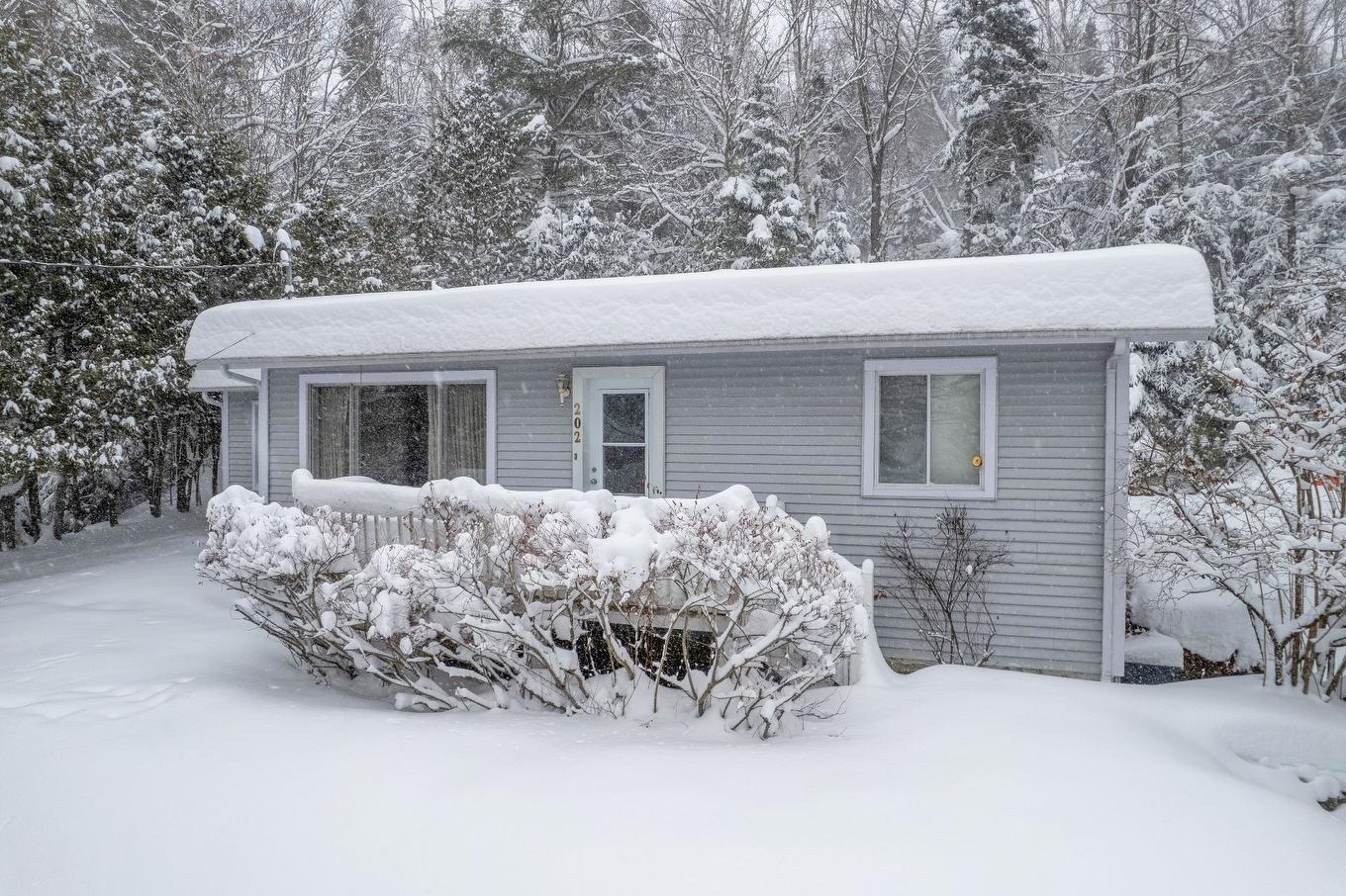 Frontage - 202 Ch. Brunette, Lac-Supérieur, QC - Outdoor
