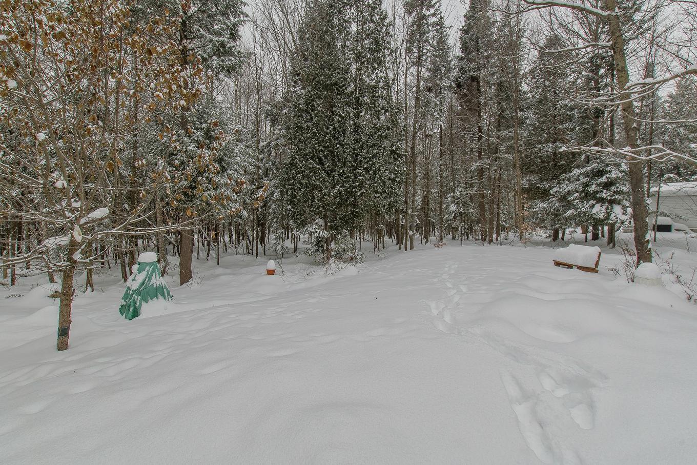 Cour - 73 Ch. Des Malards, Sainte-Anne-Des-Lacs, QC - Outdoor