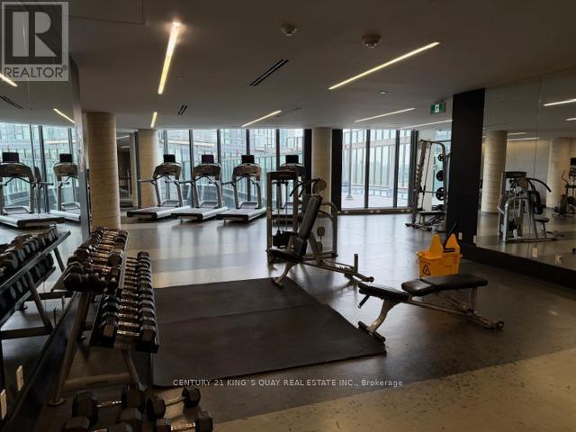 809 - 51 East Liberty Street, Toronto, ON - Indoor Photo Showing Gym Room