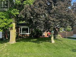 beautiful yard- mature trees -