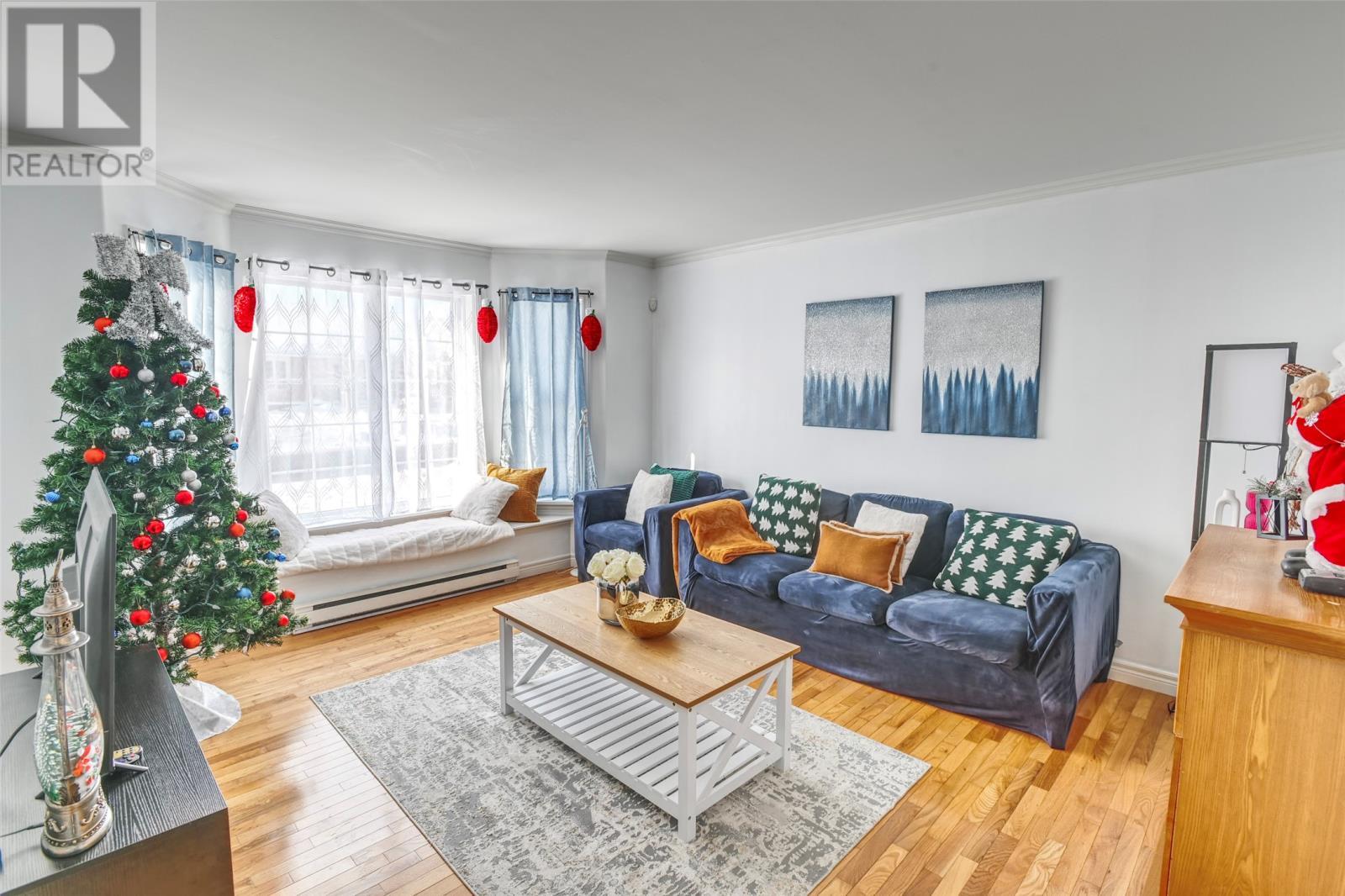 303 Stavanger Drive, St.John'S, NL - Indoor Photo Showing Living Room