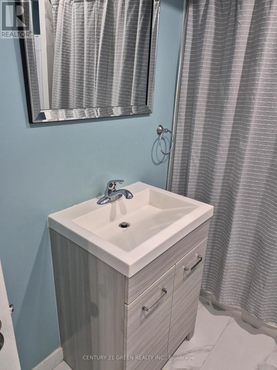 Lower - 221 Gardenbrooke Trail, Brampton, ON - Indoor Photo Showing Bathroom