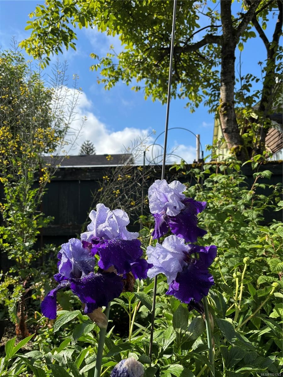 1014 Holmes St, Duncan, BC