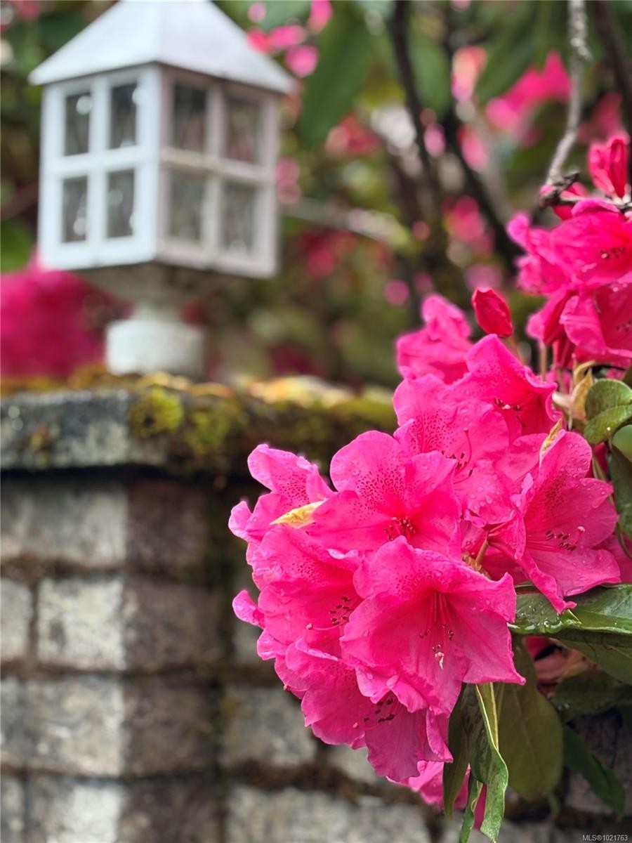 1014 Holmes St, Duncan, BC