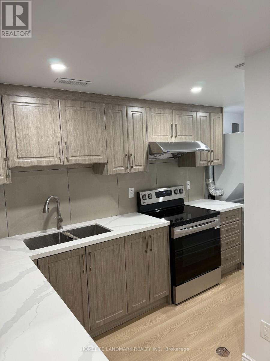 Basement - 3145 Cantelon Crescent, Mississauga, ON - Indoor Photo Showing Kitchen With Double Sink