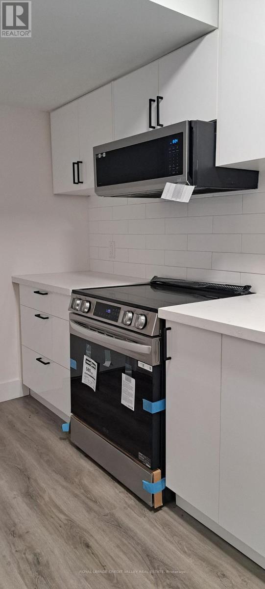 Lower Level - 1659 Rizzardo Crescent, Innisfil, ON - Indoor Photo Showing Kitchen