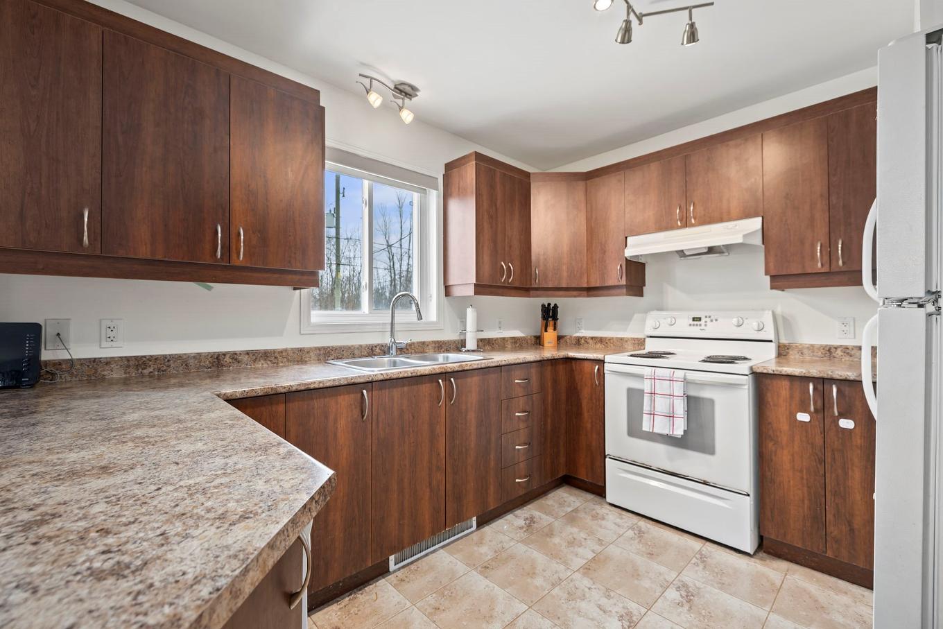Cuisine - 19 Rue Du Frère-André-Daoust, Rigaud, QC - Indoor Photo Showing Kitchen With Double Sink