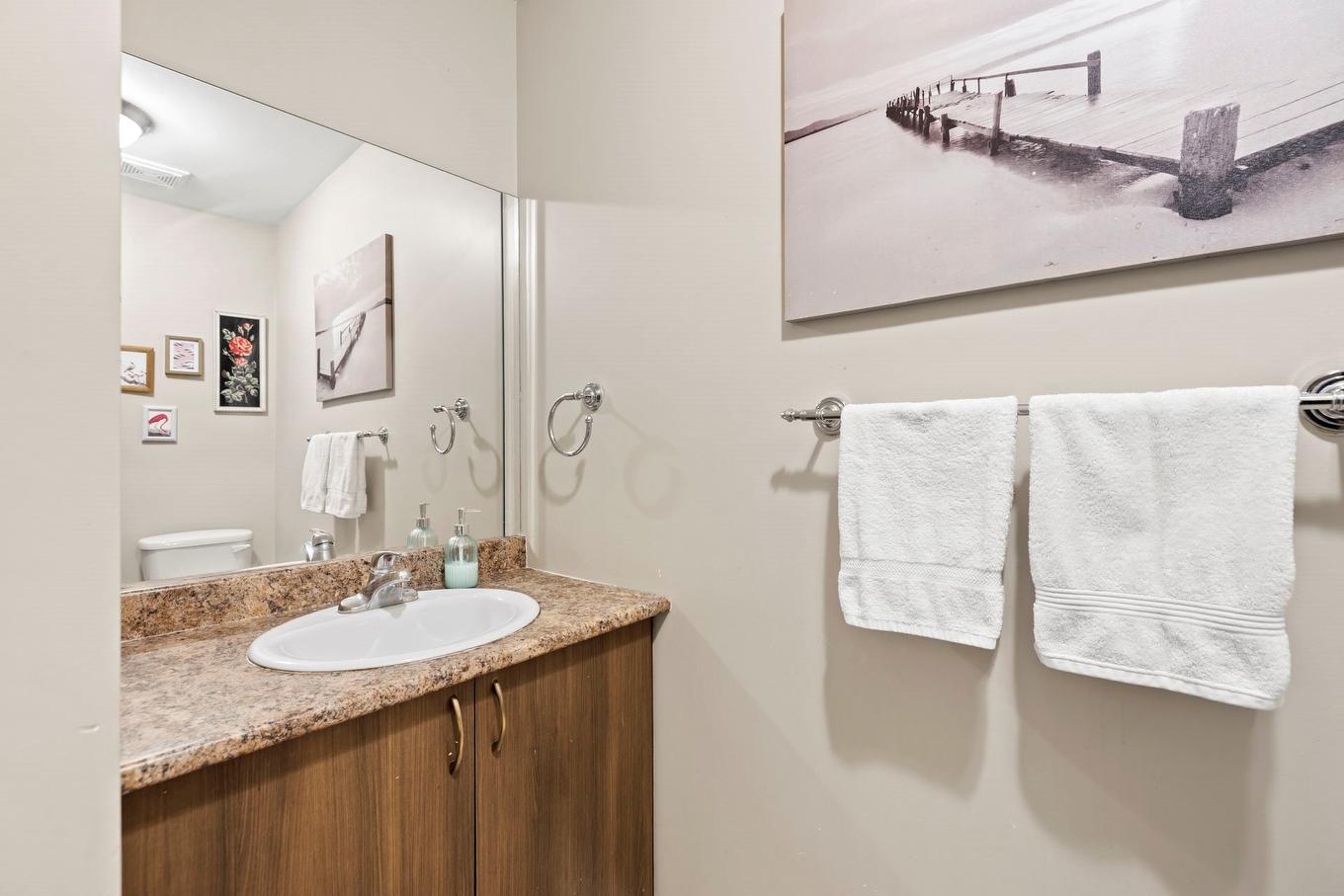Salle d'eau - 19 Rue Du Frère-André-Daoust, Rigaud, QC - Indoor Photo Showing Bathroom