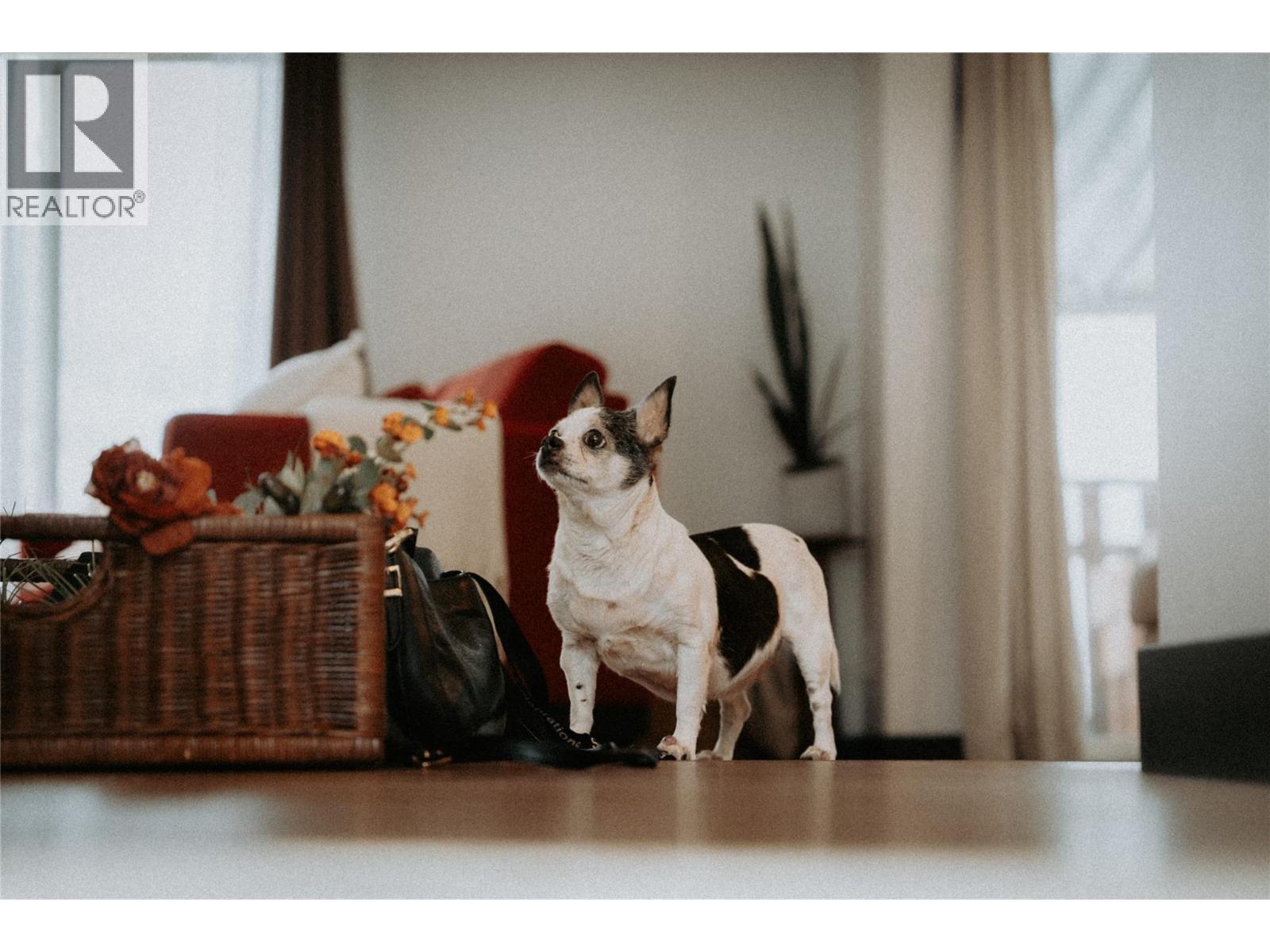 1572 Valleyview Drive, Cache Creek, BC - Indoor