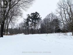 106 BRUTON STREET Port Hope, ON L1A 1V3