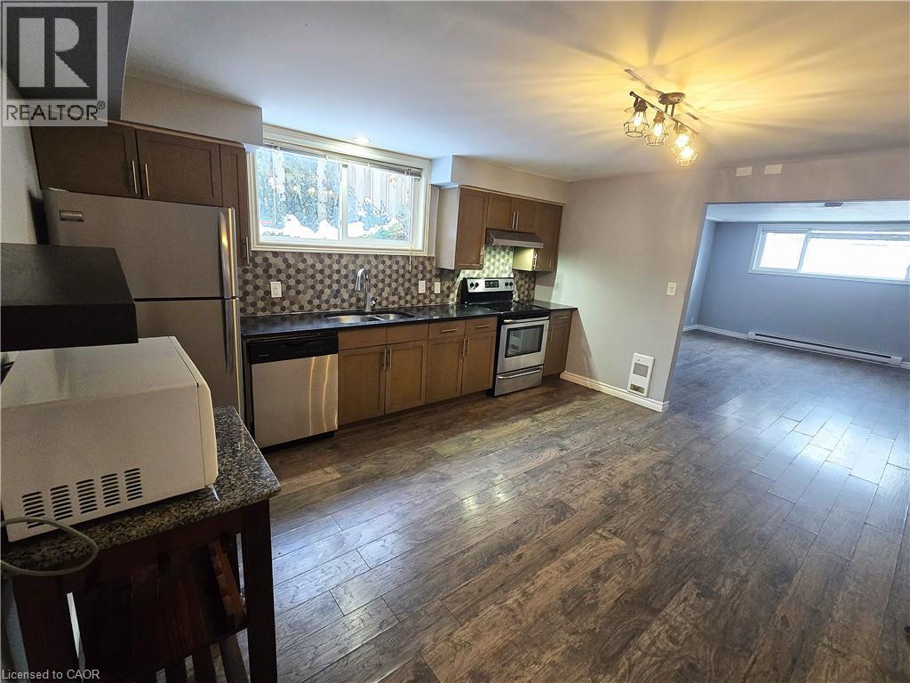 Kitchen with stainless steel appliances, plenty of natural light, dark countertops, and a baseboard heating unit - 50 Scenic Drive Unit# Lower, Kitchener, ON - Indoor Photo Showing Kitchen With Double Sink